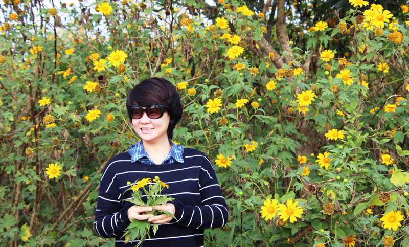 “Làm duyên” với loài hoa vàng độc đáo