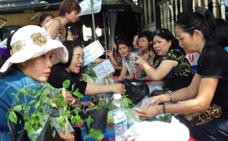 Tình yêu trồng trọt lan tỏa từ các thành viên trong nhóm