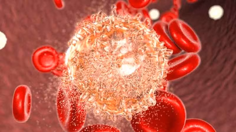 Acute lymphoblastic leukaemia