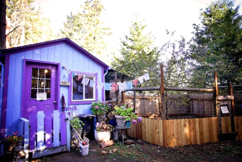 Họ ở trong những ngôi nhà nhỏ, xinh xắn