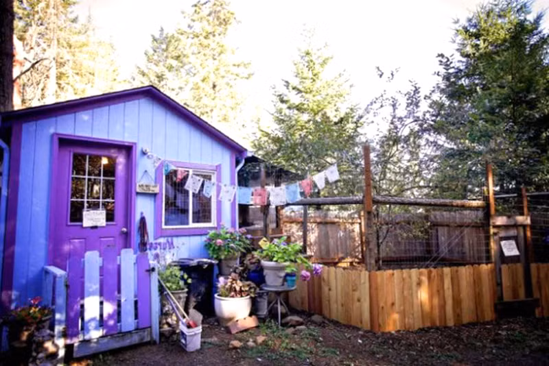 Họ ở trong những ngôi nhà nhỏ, xinh xắn