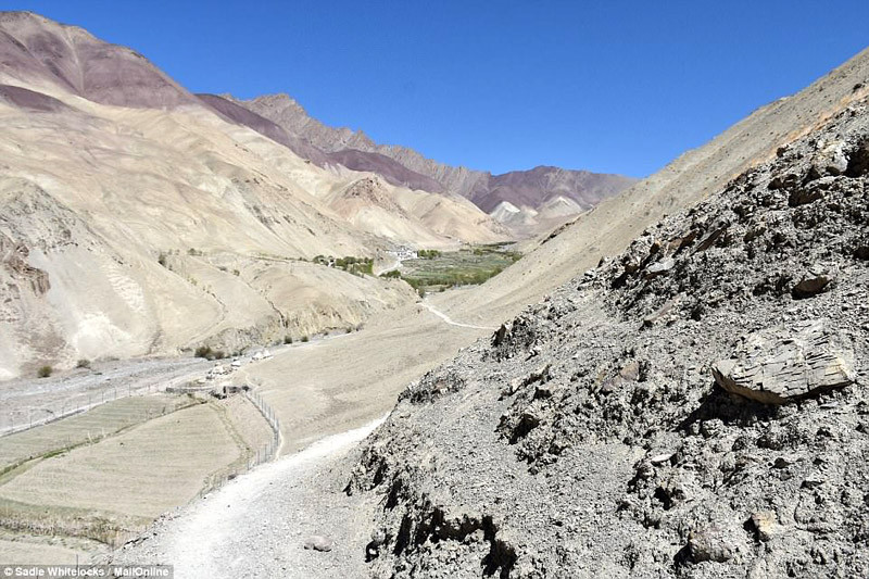 Họ trồng lúa mạch trong thung lũng màu mỡ