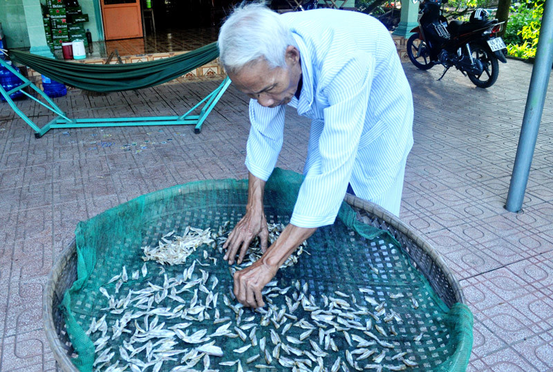 Món khô cá lòng tong trộn gỏi rất hấp dẫn du khách Món khô cá lòng tong trộn gỏi rất hấp dẫn du khách