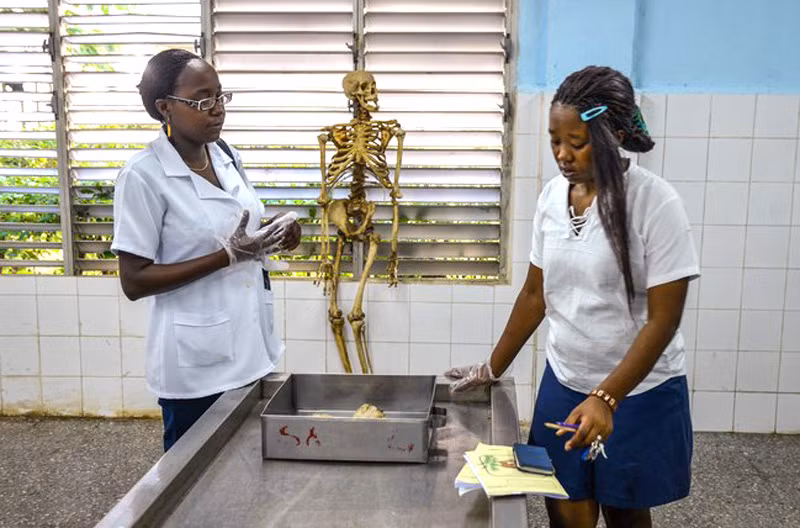 Sinh viên tìm hiểu về cơ thể người Sinh viên tìm hiểu về cơ thể người