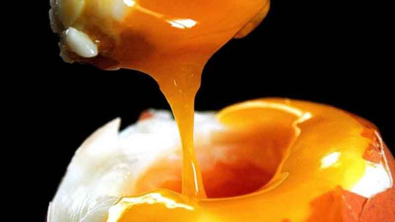 Nhiều thực đơn lành mạnh đều có trứng Nhiều thực đơn lành mạnh đều có trứng