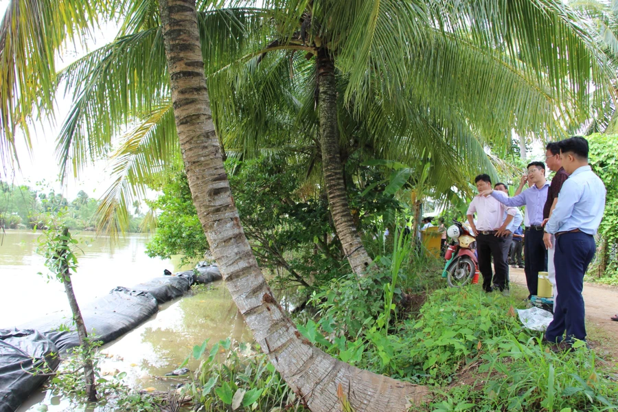 Đại biểu tham quan mô hình