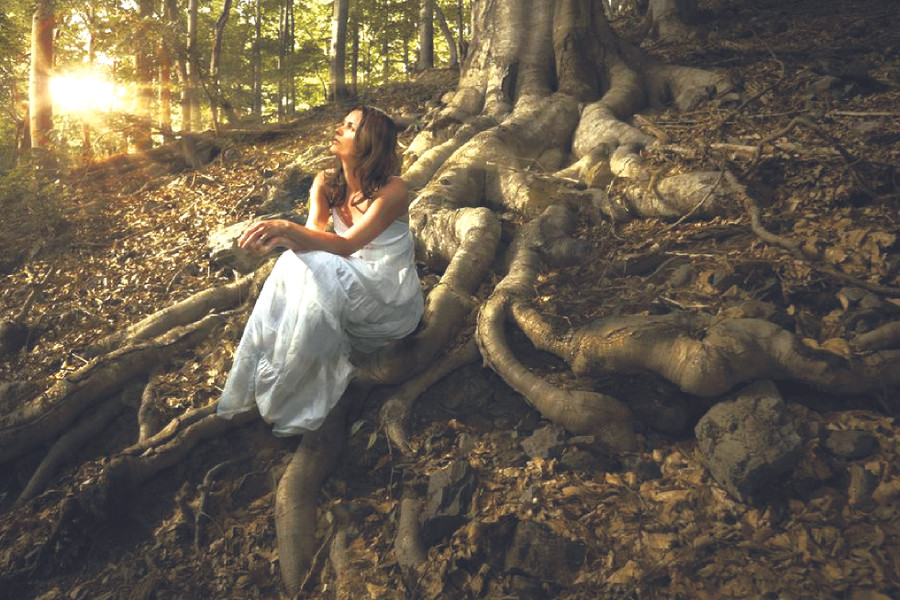 Chỉ cần ngồi dưới gốc cổ thụ cũng được chữa lành