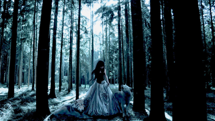 Rừng là nơi nhân vật cổ tích tìm hướng đi tương lai Rừng là nơi nhân vật cổ tích tìm hướng đi tương lai