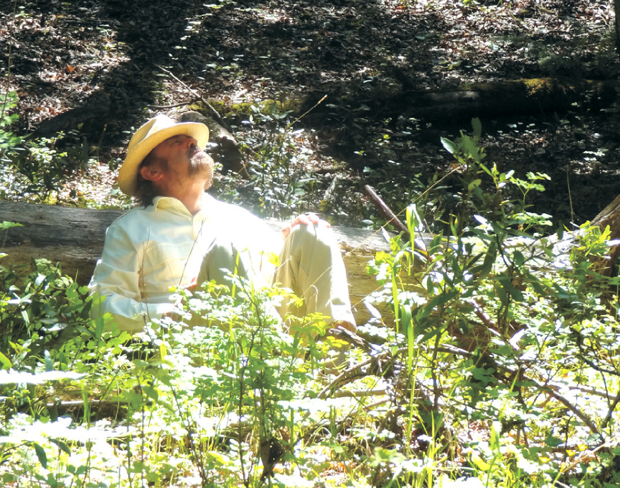 Truyền thống “tắm rừng” Nhật Bản được y tế xác nhận có lợi cho sức khỏe