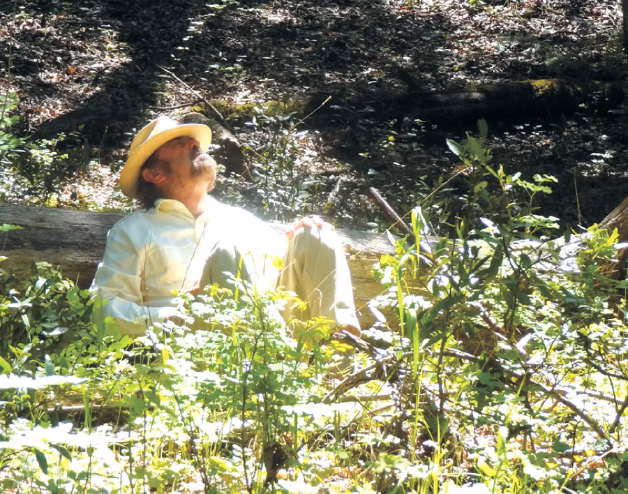 Truyền thống “tắm rừng” Nhật Bản được y tế xác nhận có lợi cho sức khỏe