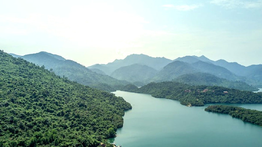 Trong 15 năm tới, GSM có thể là “mặt trận phá rừng” nóng bỏng nhất