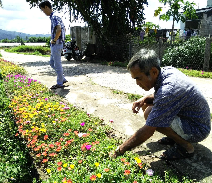 Ông Kha bên dãy hoa tự trồng