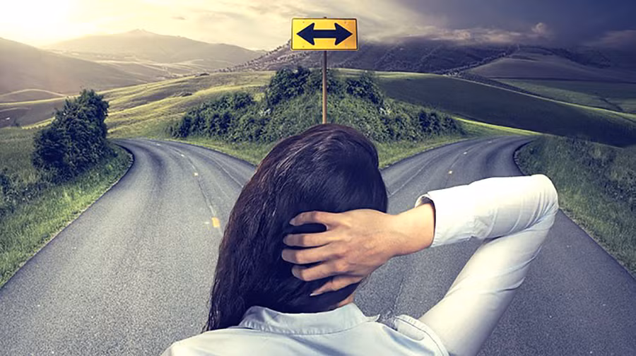 Con người cần nhiều thứ hơn là chỉ mỗi IQ cao để có cuộc sống thành công như ý.