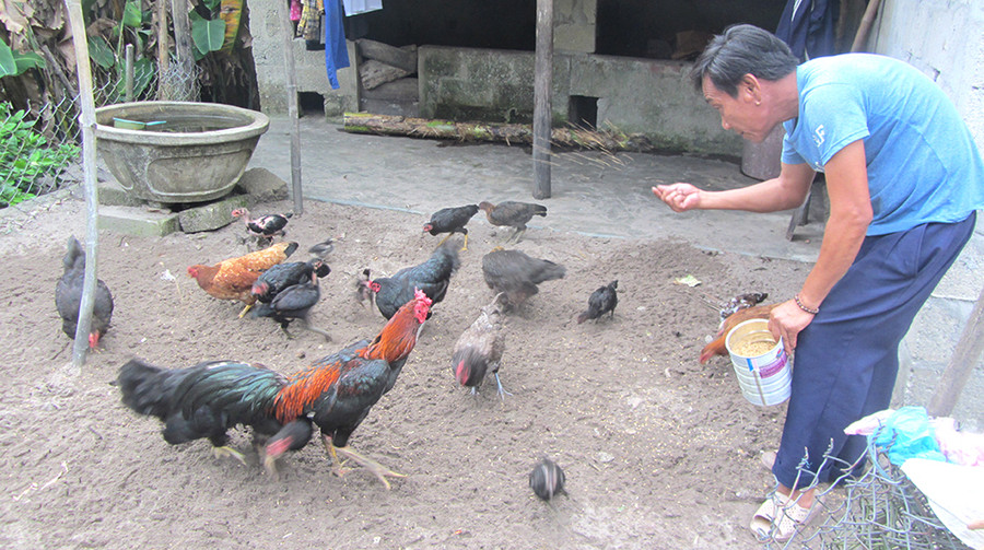 Ngoài việc mở lớp xóa mù, thầy Trai tranh thủ nuôi gà cải thiện đời sống