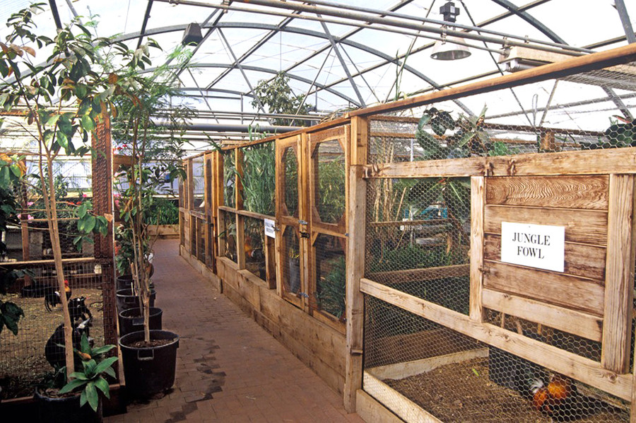 Thú vật trong Biosphere Thú vật trong Biosphere