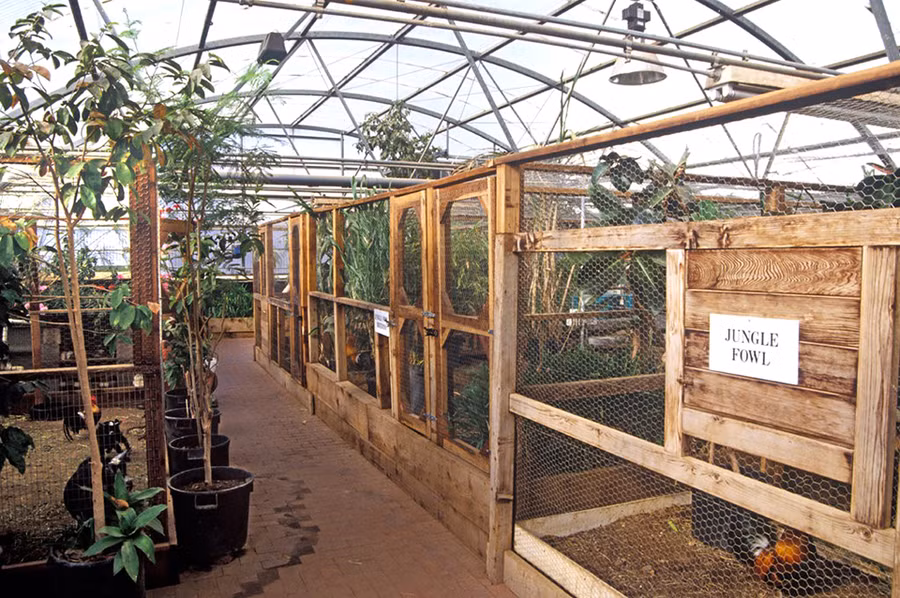 Thú vật trong Biosphere