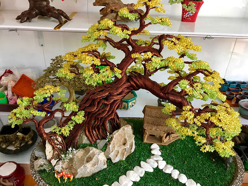 Cây mai vàng đẹp mắt.