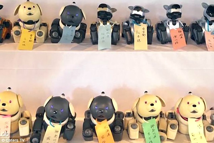 Các chú chó robot đeo biển ghi tên của chủ. Các chú chó robot đeo biển ghi tên của chủ.