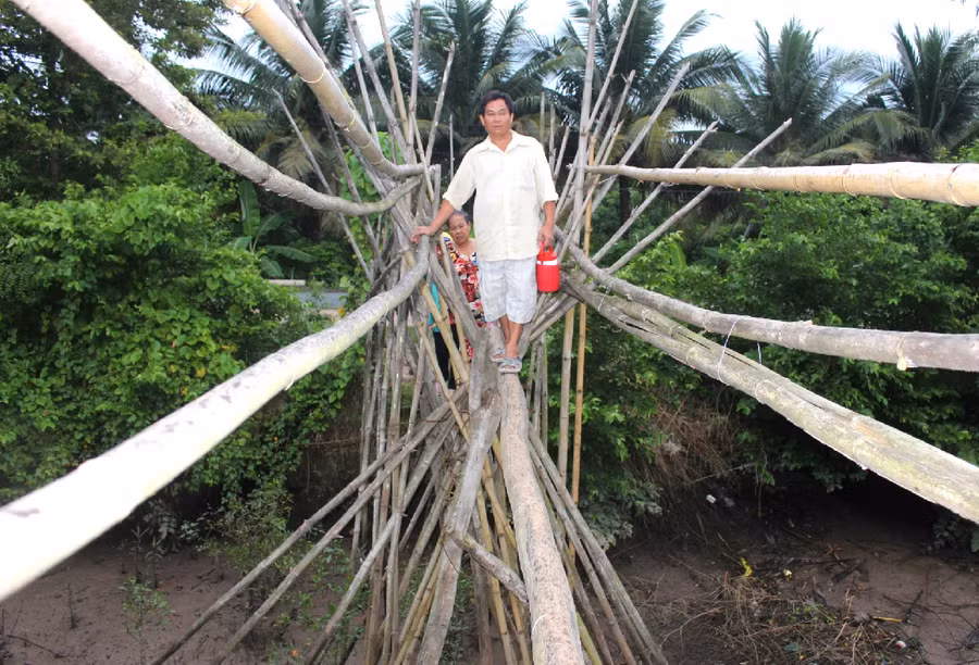 Mỗi bên cầu có hàng chục trụ tre