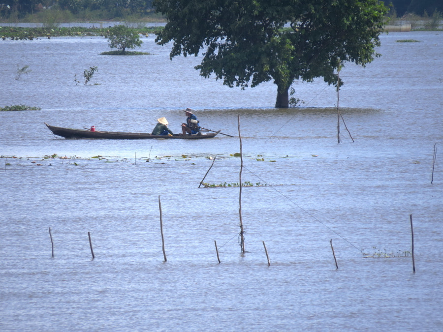 Cuộc sống người dân mùa nước nổi Cuộc sống người dân mùa nước nổi