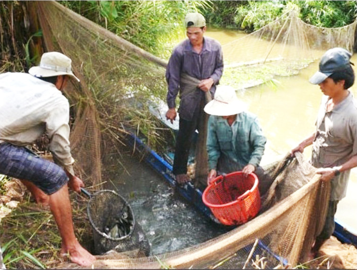 Cảnh chụp đìa
