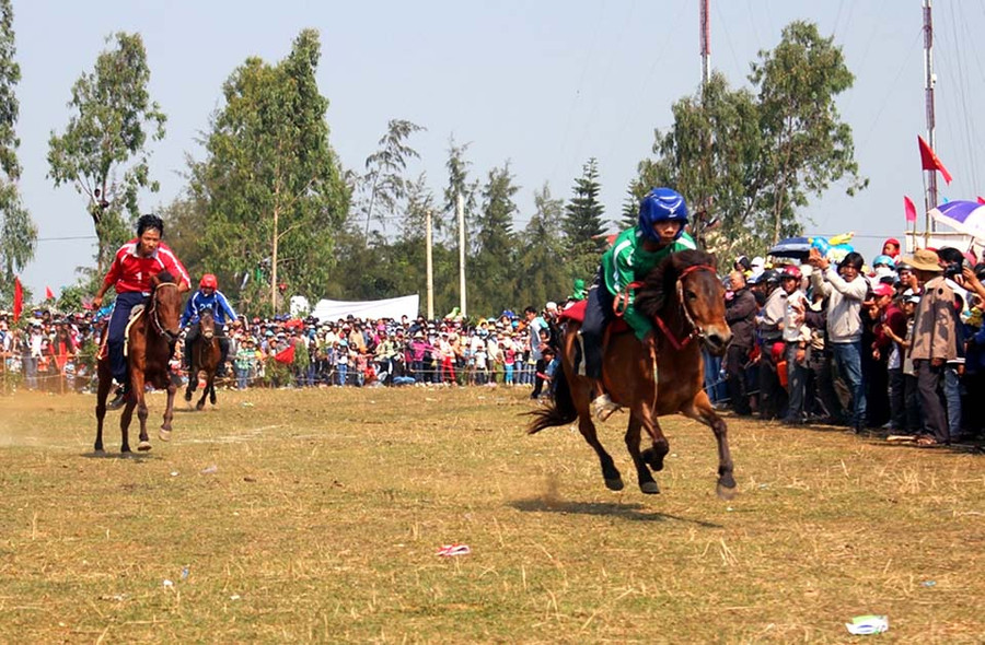 Ngựa phi nước đại trên đường đua