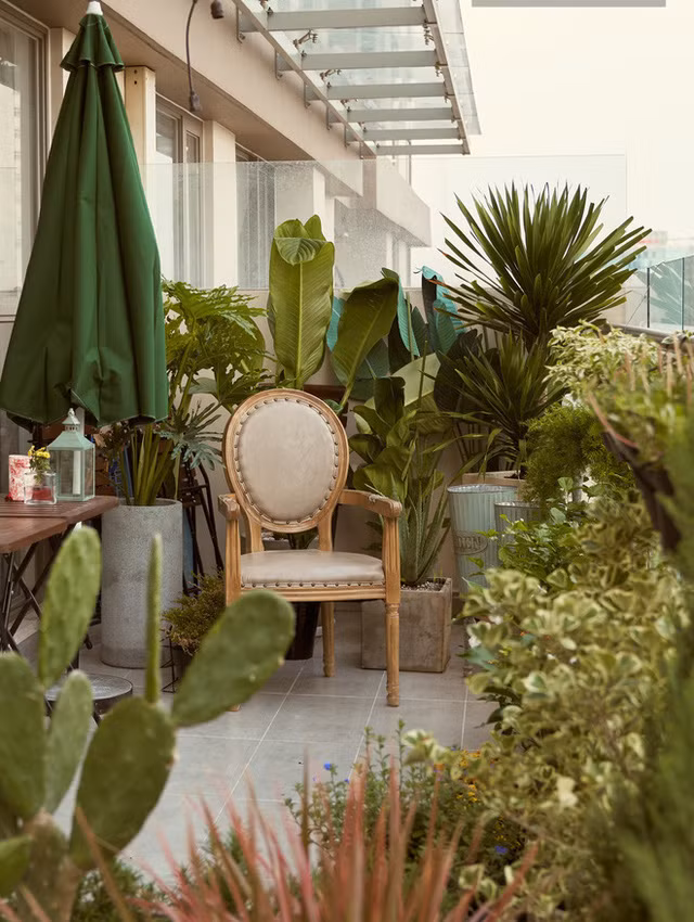 Với diện tích này, Châu Bùi có thể thoải mái trồng cây và có không gian cho Santa Beedoo (2 chú chó cưng của Châu) chạy nhảy.