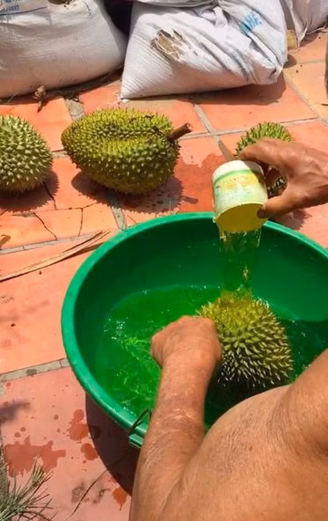 Cách chọn mua sầu riêng chín tự nhiên chuẩn ngon ảnh 1