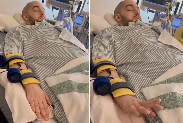 Hoàng tử Arab Saudi hôn mê sâu suốt 15 năm bất ngờ cử động sau khi nghe tiếng chào hỏi của một cô gái khiến ai nấy đều kinh ngạc - Ảnh 3.