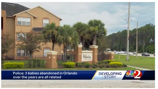 Ba năm phát hiện 3 đứa trẻ bị bỏ rơi ở cùng một chỗ, cảnh sát điều tra tìm ra sự thật kinh ngạc về cha mẹ chúng ảnh 2