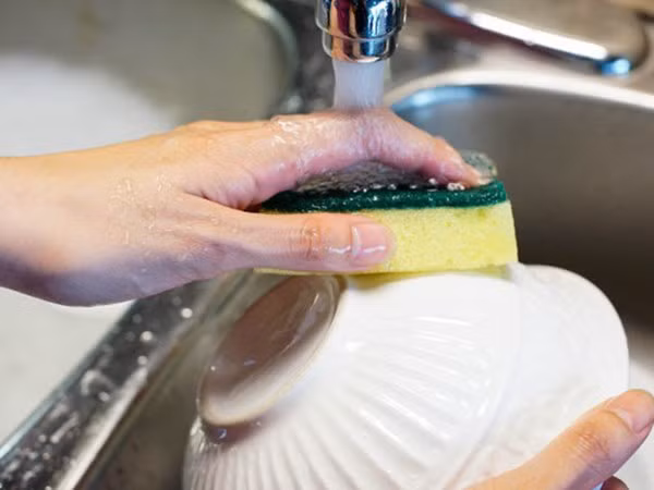 Mỗi cm vuông giẻ rửa bát cũng chứa tới 45 tỉ vi khuẩn.