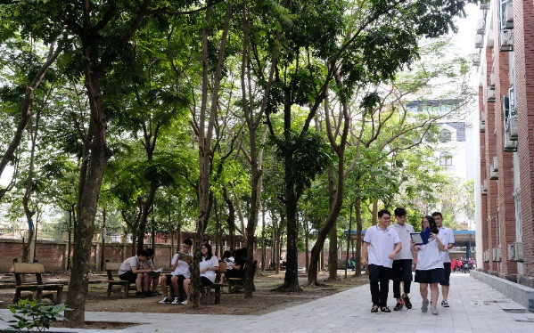 Quỹ 1 triệu cây xanh cho Việt Nam: lan tỏa tình yêu thiên nhiên, môi trường đến với học sinh - Ảnh 3. Quỹ 1 triệu cây xanh cho Việt Nam: lan tỏa tình yêu thiên nhiên, môi trường đến với học sinh - Ảnh 3.