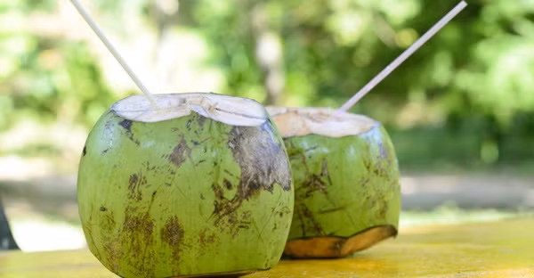 Tốt nhất trước khi sử dụng, bệnh nhân tiểu đường nên tham khảo ý kiến bác sĩ hoặc chuyên gia dinh dưỡng.