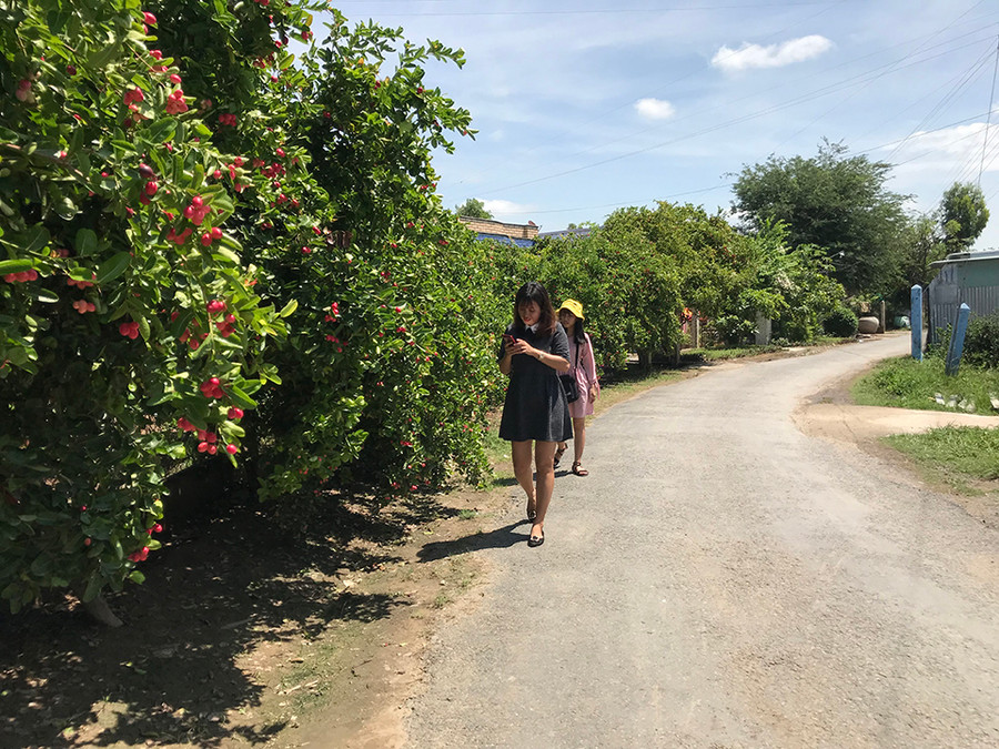 Rất đông bạn trẻ tới chụp hình con đường này