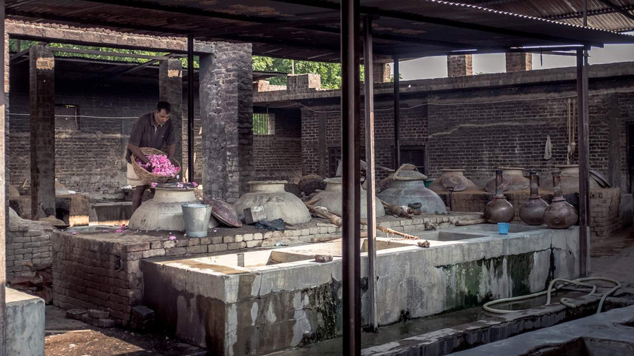 Cho các cánh hoa hồng tươi Damask vào ủ trong các chum đất