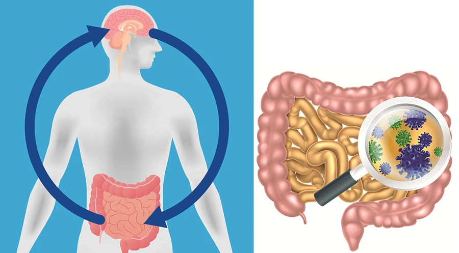 Chức năng chưa từng biết của hệ vi sinh vật ruột