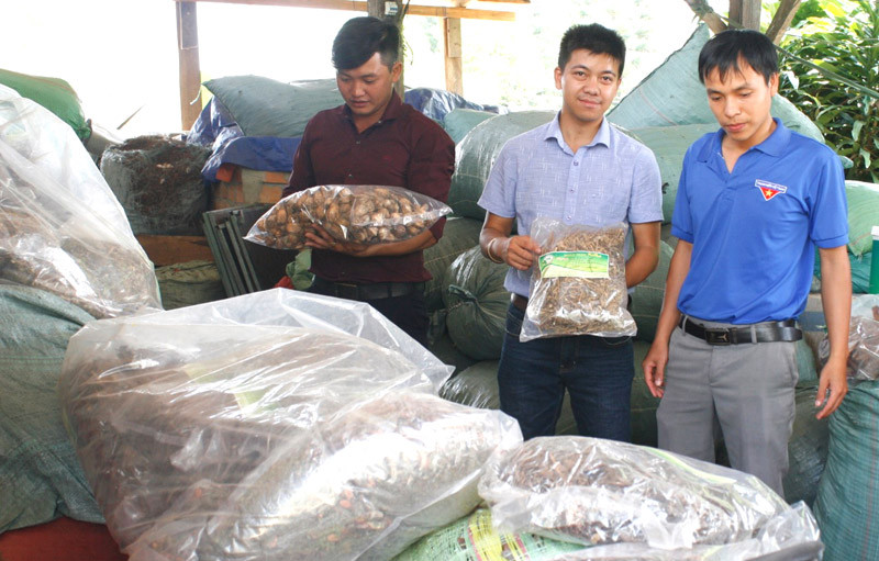 Sản phẩm đóng gói chuẩn bị ra thị trường