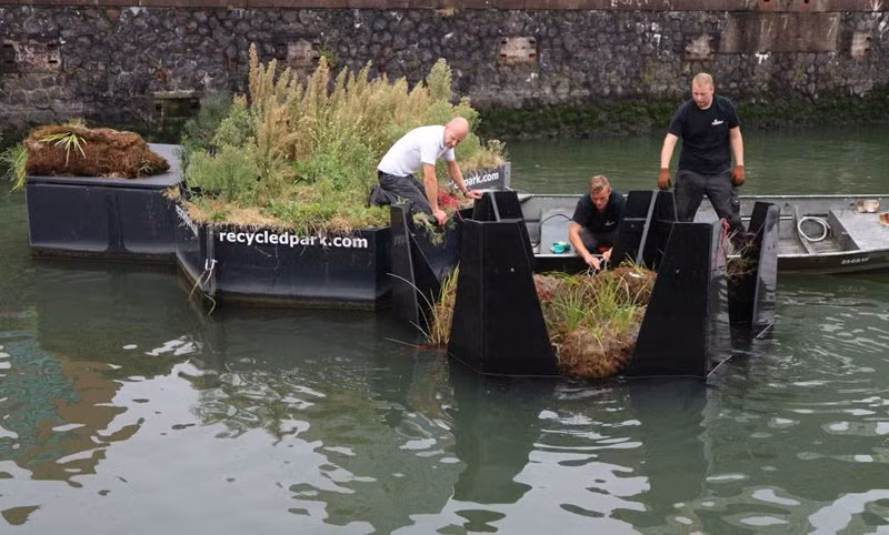 Cây xanh được trồng vào các khối lục giác