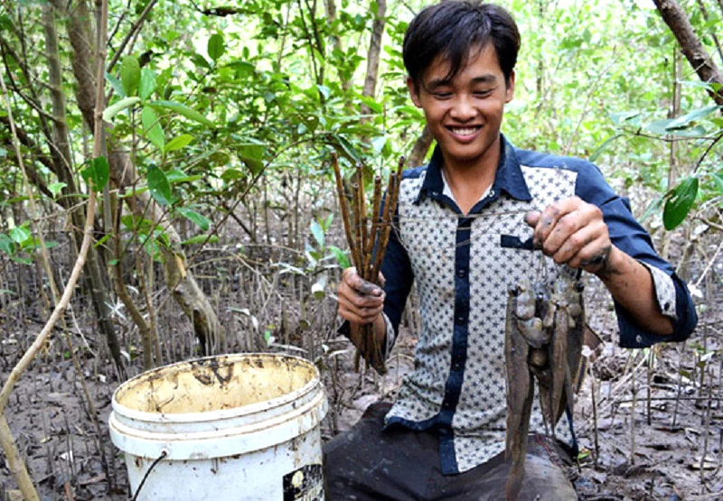 Săn bắt cá thòi lòi