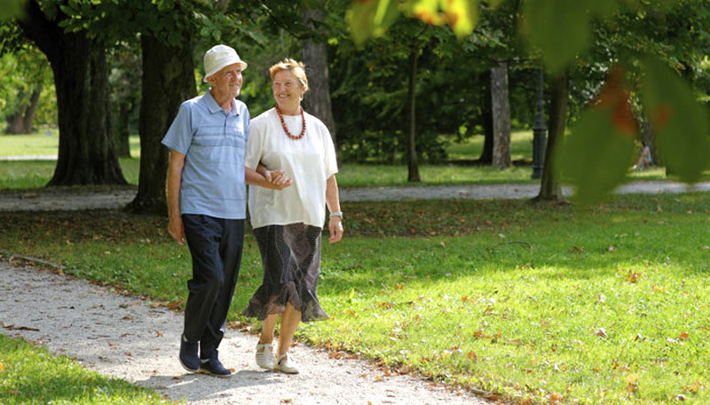 Đi bộ mỗi ngày Đi bộ mỗi ngày