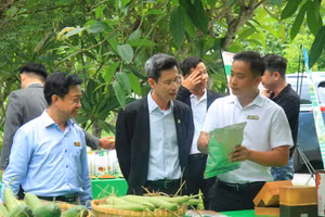 Đoàn tham quan tại cơ sở vật chất tại khu thực nghiệm khoa Nông học. (Ảnh: NLU).