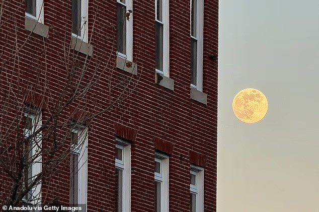 full-moon-10.jpg