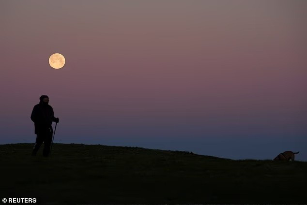 full-moon-8.jpg