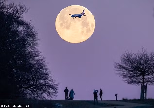 Một chiếc máy bay hướng tới Heathrow được chụp từ Richmond Park, bay với siêu trăng Sói phía sau. full-moon-2.jpg