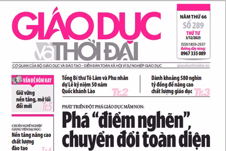 Tin tức báo in 3/12: Những 'ông bố' mầm non giữa đại ngàn