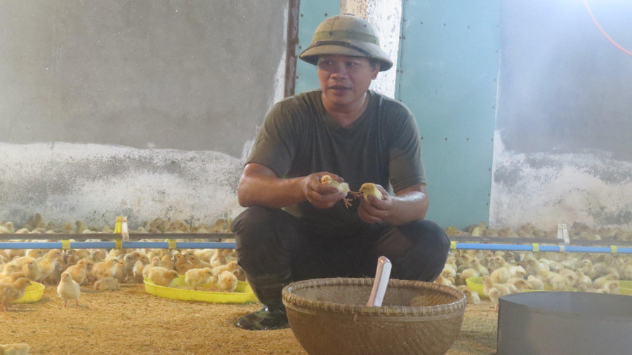 Anh Trần Văn Thiện là tấm gương nông dân vượt khó.