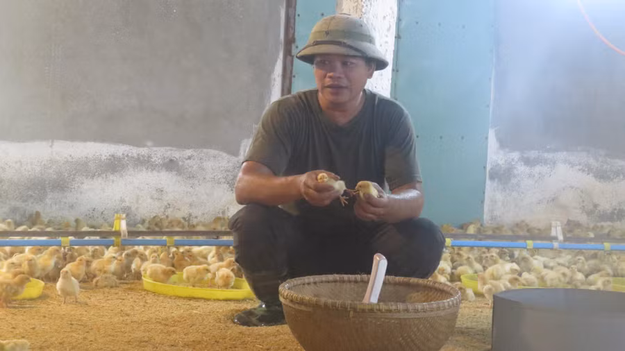 Anh Trần Văn Thiện là tấm gương nông dân vượt khó.