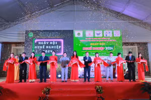 Ngày Hội nghề nghiệp năm 2024 của Trường Đại học Nông Lâm TPHCM.