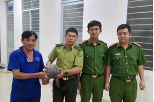 Anh Khánh Hải giao nộp con tê tê cho lực lượng chức năng.