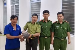 Anh Khánh Hải giao nộp con tê tê cho lực lượng chức năng.